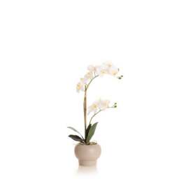 Artificial White Phalaenopsis Orchid in Beige Ceramic Plant Pot - thumbnail 4