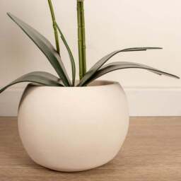 Artificial White Phalaenopsis Orchid in Beige Ceramic Plant Pot - thumbnail 3