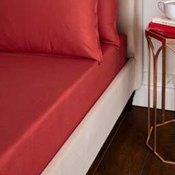 Dorma Luxuriously Soft 100% Brushed Cotton Fitted Sheet - thumbnail 1