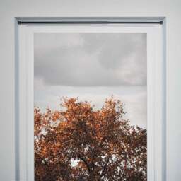 Extendable Net Curtain and Voile Tension Rod - thumbnail 2