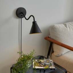 Newton Industrial Goose Neck Adjustable Plug In Wall Light