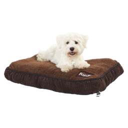 Bunty Snooze Dog Bed Brown
