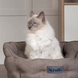 Scruffs Seattle Cat Bed - thumbnail 2
