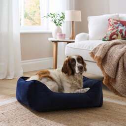 Velvet Box Dog Bed - thumbnail 1