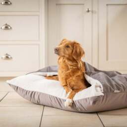Lords and Labradors Burrow Dog Bed - thumbnail 3