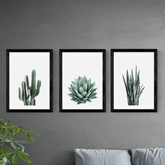 Set of 3 East End Prints Succulent Gallery Wall Prints - image 1