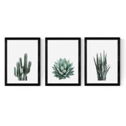 Set of 3 East End Prints Succulent Gallery Wall Prints - thumbnail 2