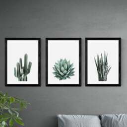 Set of 3 East End Prints Succulent Gallery Wall Prints - thumbnail 1