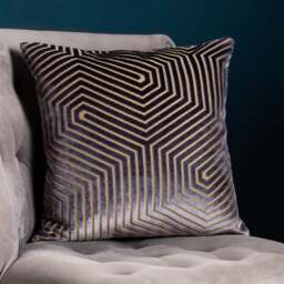 Evoke Velvet Cushion - thumbnail 1