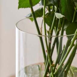 Cylinder Glass Vase, 25cm - thumbnail 2