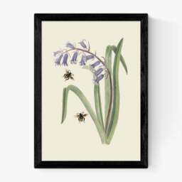East End Prints Bee & Wild Hyacinth Print - thumbnail 2