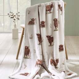 Catherine Lansfield Angus Highland Cow Throw Blanket 130cm x 170cm - thumbnail 1