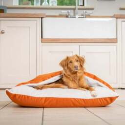 Lords and Labradors Burrow Dog Bed - thumbnail 2