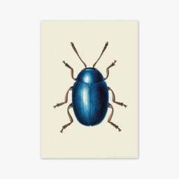 East End Prints Mustard Beetle Print - thumbnail 2