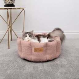 Scruffs Boucle Cat Bed - thumbnail 3