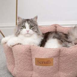 Scruffs Boucle Cat Bed - thumbnail 2