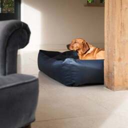 Lords and Labradors Rhino Leather Box Dog Bed - thumbnail 2