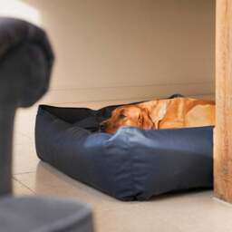 Lords and Labradors Rhino Leather Box Dog Bed - thumbnail 3