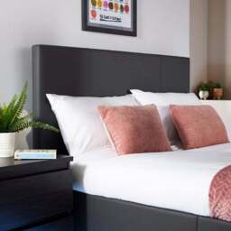 XR Living Ava TV Bed with LED Lights and TV Mount - thumbnail 4