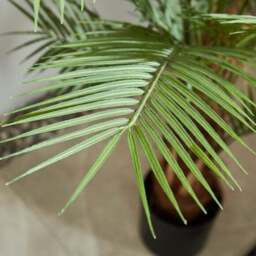 Artificial Palm Tree 150cm - thumbnail 3
