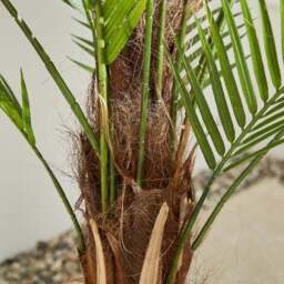Artificial Palm Tree 150cm - thumbnail 2