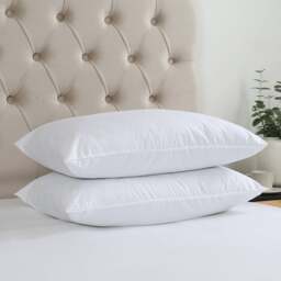 Fogarty Pack of 2 Soft Touch Stain Resist Back Sleeper Pillows - thumbnail 1