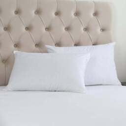Fogarty Pack of 2 Soft Touch Stain Resist Back Sleeper Pillows - thumbnail 2