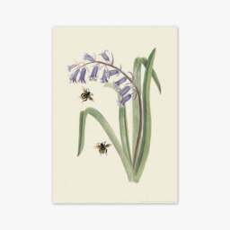 East End Prints Bee & Wild Hyacinth Print - thumbnail 2