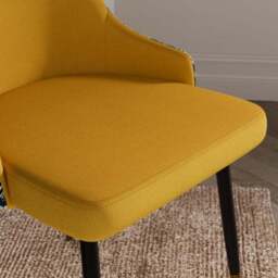 Ariana Set of 2 Dining Chairs, Utopia Velvet - thumbnail 3