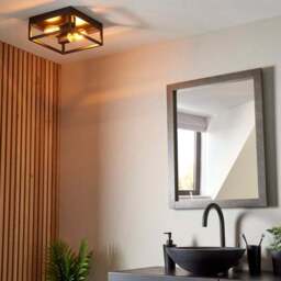 London Industrial Bathroom 2 Light Flush Ceiling Light - thumbnail 3