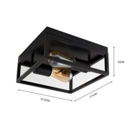 London Industrial Bathroom 2 Light Flush Ceiling Light - thumbnail 6
