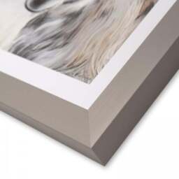 Cedar & Sage Eey and Ore Framed Print - thumbnail 4