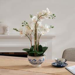 Artificial Cream Phalaenopsis Orchid in Crackle Pot - thumbnail 1