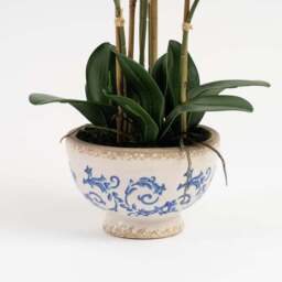 Artificial Cream Phalaenopsis Orchid in Crackle Pot - thumbnail 3