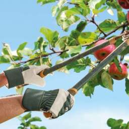 Premium Riggers Gardening Gloves - thumbnail 2