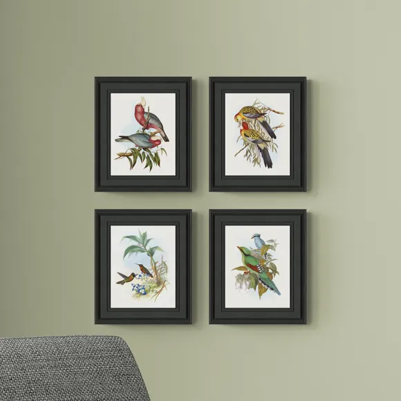 Set of 4 Bird Illustrations Framed Prints
