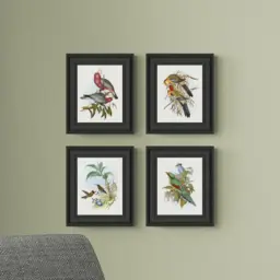 Set of 4 Bird Illustrations Framed Prints - thumbnail 1