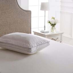 Dorma Deluxe Deep Back Sleeper Pillow Top Pillow - thumbnail 3