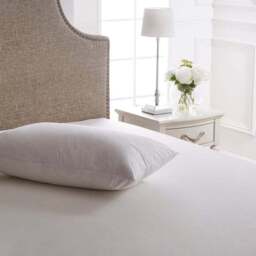 Dorma Luxurious White Goose Down Back Sleeper Pillow - thumbnail 2