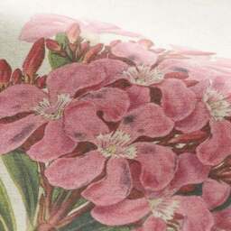Botanical Garden Made to Measure Curtains - thumbnail 3