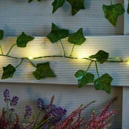 Ivy Garland 50 LED Indoor Outdoor String Lights - thumbnail 3