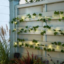 Ivy Garland 50 LED Indoor Outdoor String Lights - thumbnail 1
