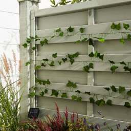 Ivy Garland 50 LED Indoor Outdoor String Lights - thumbnail 2