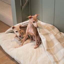 Lords and Labradors Balmoral Tweed Sleepy Burrow Dog Bed - thumbnail 3
