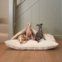 Lords and Labradors Balmoral Tweed Sleepy Burrow Dog Bed - thumbnail 1