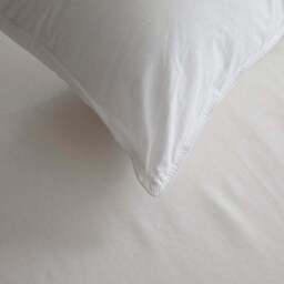 Dorma Full Forever Side Sleeper Continental Square Pillow - thumbnail 3