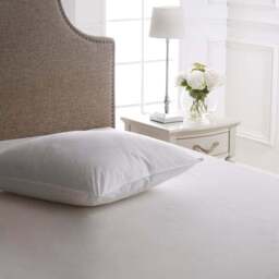 Dorma Full Forever Side Sleeper Continental Square Pillow - thumbnail 2