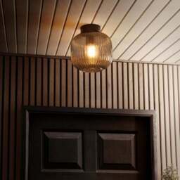 Riley Flush Outdoor Ceiling Light - thumbnail 2