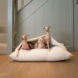 Lords and Labradors Faux Fur Sleepy Burrow Dog Bed - thumbnail 1
