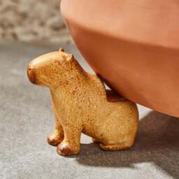 Single Resin Capybara Pot Feet - thumbnail 1